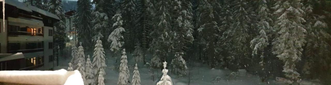 Charming Winter Studio Borowez Exterior foto